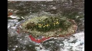 PSSC 330 - Rangeland Succession