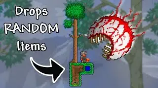 Terraria Skyblock, But Every Item Drop Is Random...