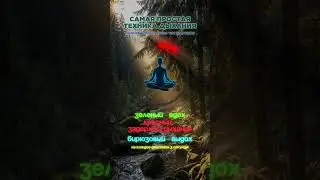 дыхание это просто  #победитьстресс  #дыхание  #душа  #силасознания  #reset