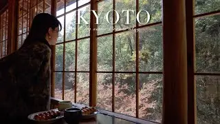 kyoto vlog｜京都の最新おすすめカフェ10選.フグレン京都. 大自然あふれるジブリなカフェ￤隠れ家な古民家カフェ.アマムダコタン￤京都カフェ巡り.京都旅行🍂