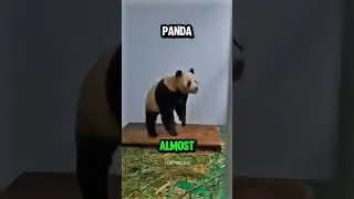 Top 4 Animals So Dumb&hellip; It&rsquo;s a Miracle They Survive #shorts #animals