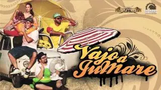 DABADUB SOUND SYSTEM | VAJO A JU MARE | Summer 2011