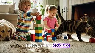 #1 Carpet Cleaning Service in Denver (B2)
