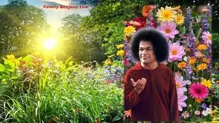 Family Bhajan Live || Shahabad Markanda || 30.01.2026  #srisathyasai100 