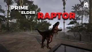 Я получил PRIME ELDER Raptor в The Isle