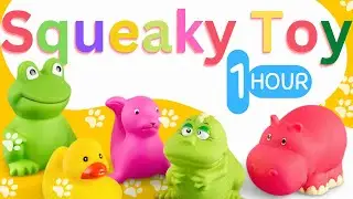 1 Hour Dog Squeaky Toy Sounds | HQ Sound That Attract Dogs