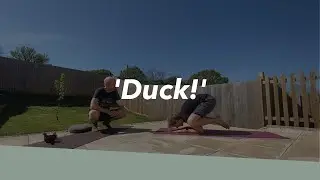 Duck! ~&nbsp;Vinyasa ~ Ian Davis