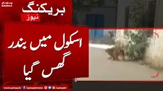 Karachi Jacob Line Government School me bundar ghus aya | SAMAA TV | 25th November 2022