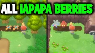ALL IAPAPA BERRY LOCATIONS ON POKEMON BRILLIANT DIAMOND AND SHINING PEARL