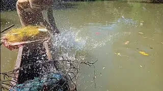Sri Lankan 🇱🇰 fishing traditional big fishcathing video