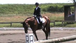 Dressage E  210 Elisa Sibio e Alider