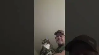 Cat karaoke