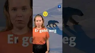 Das ist rausgekommen, weil andere an Bord die Aktion beim Gouverneur von Spitzbergen gemeldet haben.