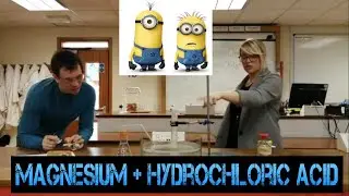 1.5/2.5 Rates of Reaction - Concentration (WJEC) Chemistry GCSE