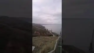 Вид