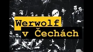 Werwolf v Čechách | 40 | Odsun