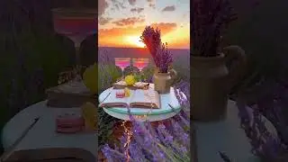 Nature Love Status|| Love status|| Romantic Status