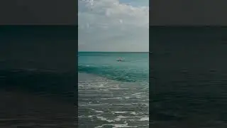 Good ocean swimmer! #beach #calmseas #swimming