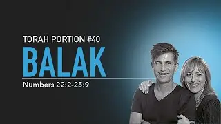 Torah Portion Balak #Numbers22 #TorahPortion #Messianic #SaveTheNations #Torah #Balak #Donkey