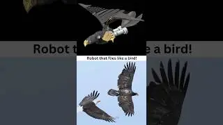 Robotic Bird 🦅 Flying Eagle 👍✅ #caddesign #birds #robotics #flyingeagle #3ddesign #solidworks #cad