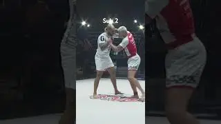 Every Gordon Ryan +99kg ADCC submission
