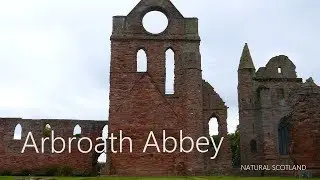 Arbroath Abbey