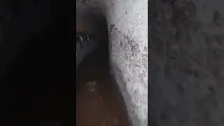 Acquedotto falisco