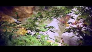 ECHOES FROM A JAPANESE GARDEN by Andrea Centazzo