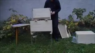 002 Ukrainian Beehive Bdzhilnyk in Summer