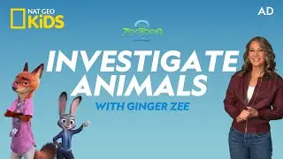 AD | Investigate Animals with Ginger Zee! 🕵️ | Zootopia 2 | @natgeokids