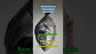 🐟Low Calorie, High Protein Fish | Gilthead Sea Bream #lowcalorie #dietfood