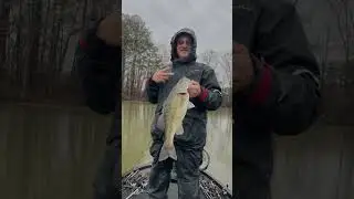 PB Spot 5 lb #bassfishing  #fishing  #fishingvideo #tournament  ​⁠ ​⁠ ​⁠ @lslures @AlphaAngler