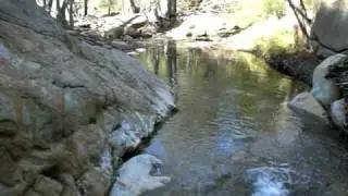 Wheeler Springs