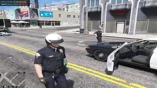 GTA 5 LSPDFR - COP HOLSTER