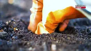 Bhaderwah man paid 5% to start his high tech polyhouse under HADP scheme in J&K