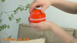 Interactive Dog Toys Ball