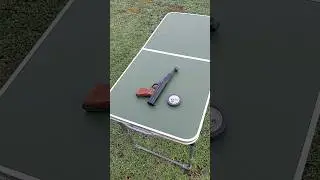 Record LP2 4,5mm (.177) с пулями 