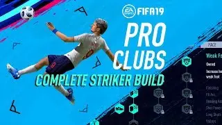 FIFA 19 PRO CLUBS | Полная сборка Striker