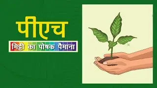 Measuring Soil pH । पीएच-मिट्टी का पोषक पैमाना | MaapTaul Ki Duniya | माप तौल की दुनिया