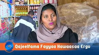 Qajeelfamni Nyaata Suuqiitti Gurguruu Dhorku Jajjabeeffamuu Qaba Jedhame