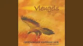 De weg, de waarheid en het leven