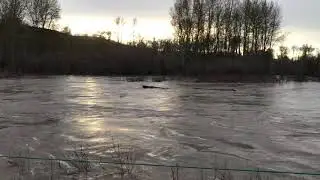 Fast moving river