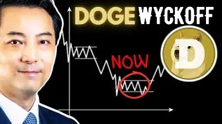 Dogecoin Finds Support, But Test Continues? (DOGE) Wyckoff Price Prediction (Nov 18, 2025)