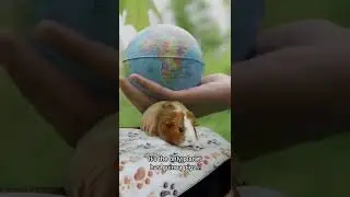 We LOVE the earth #earthday #earthday2022