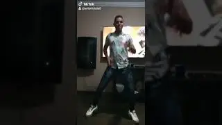 tutu bicho bruto