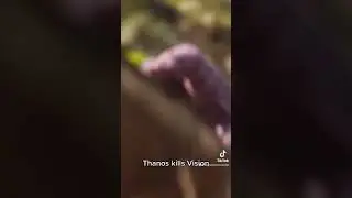 Thanos kills Vision