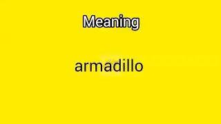 #armadillo meaning in English & Telugu || Googul Dictionary #dictionary #meanings #telugu #english