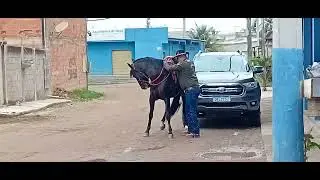 Prepara pra cauvada