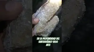 Geodas con calcita y Cuarzo🤩🫠 WOW #minasgerais #goldmining #oro #cuarzos #rocks #minerals #geology