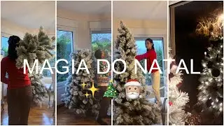 MAGIA DO NATAL✨MONTANDO NOSSA ÁRVORE DE NATAL2024🎄❤️🧑‍🧑‍🧒‍🧒
